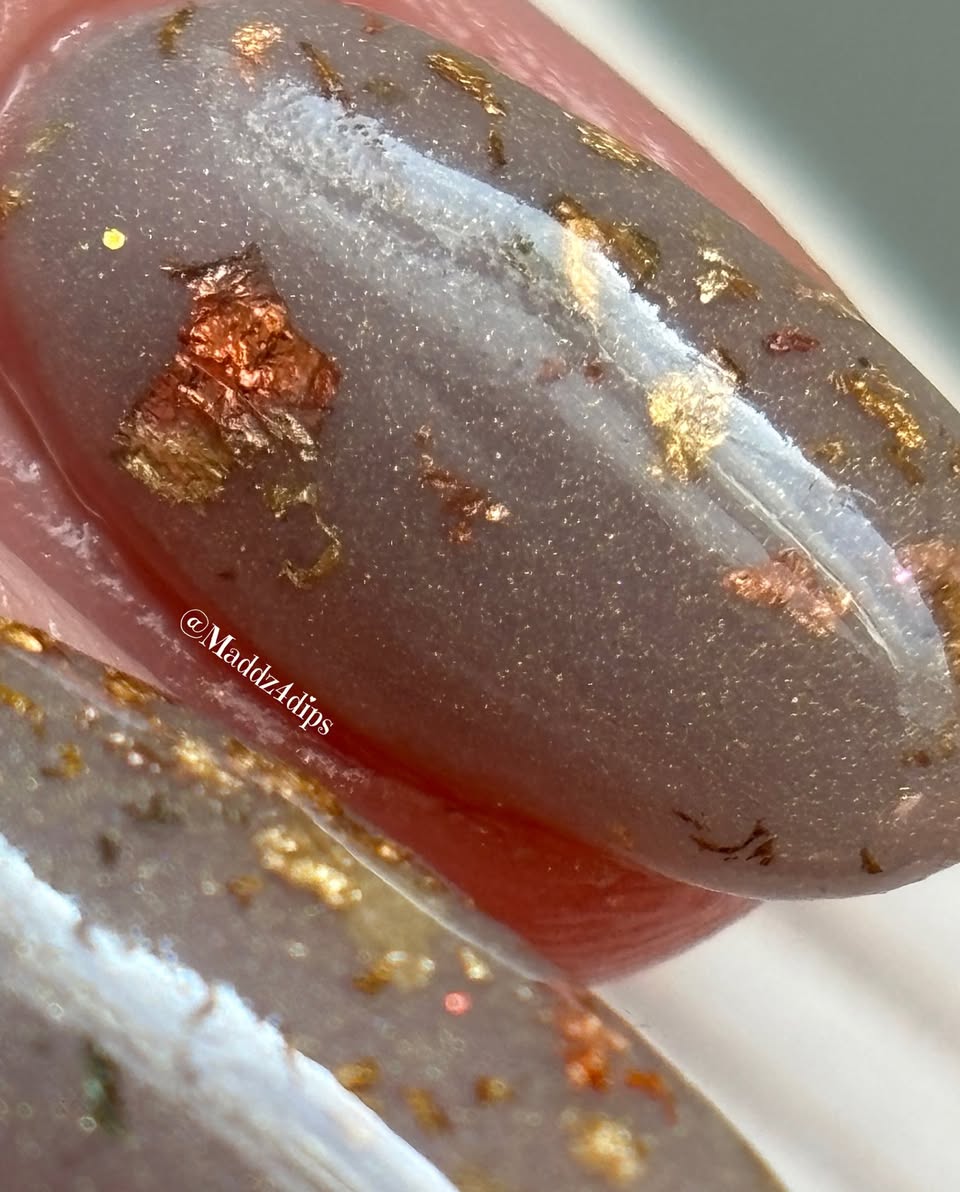 AUTUMN TO WINTER COLLECTION