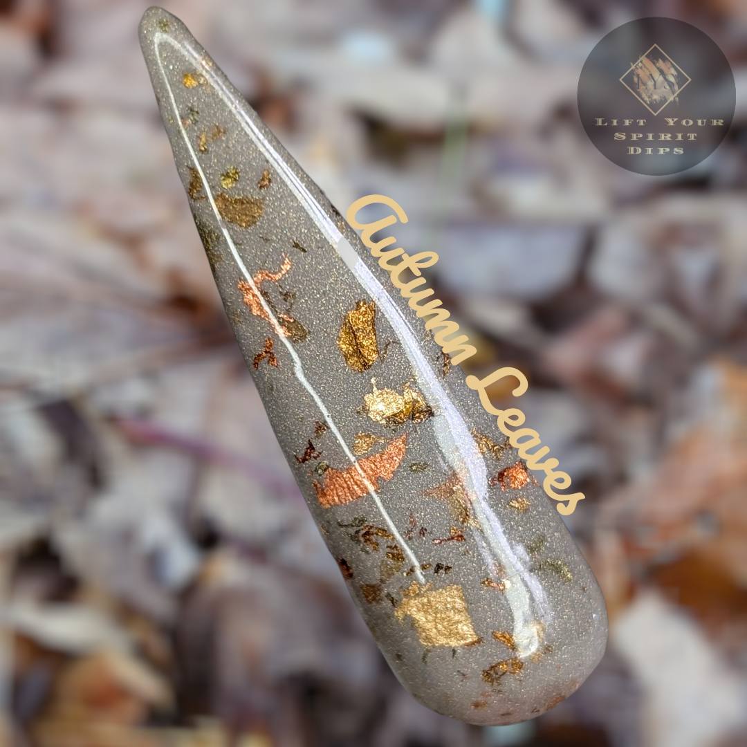 AUTUMN TO WINTER COLLECTION