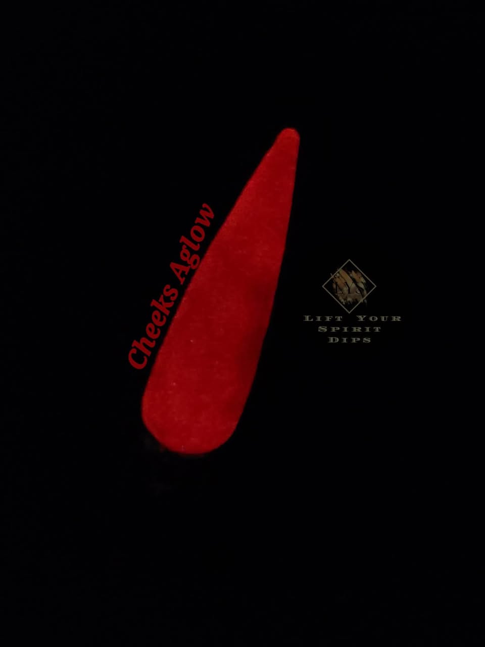 CANDYLAND CHRISTMAS COLLECTION