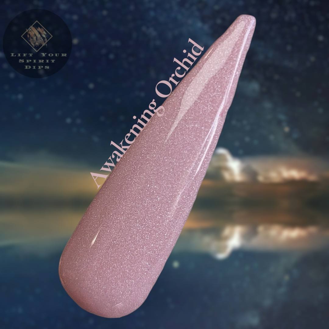 DREAMBOUND COLLECTION