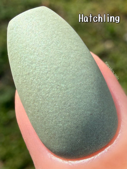 LIFE IN FULL BLOOM COLLECTION