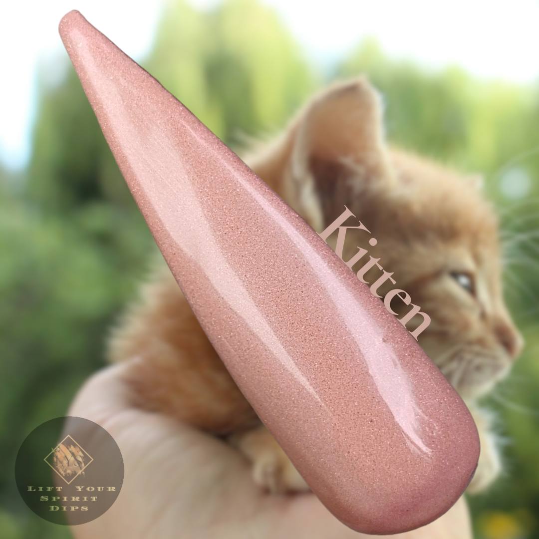 LIFE IN FULL BLOOM COLLECTION