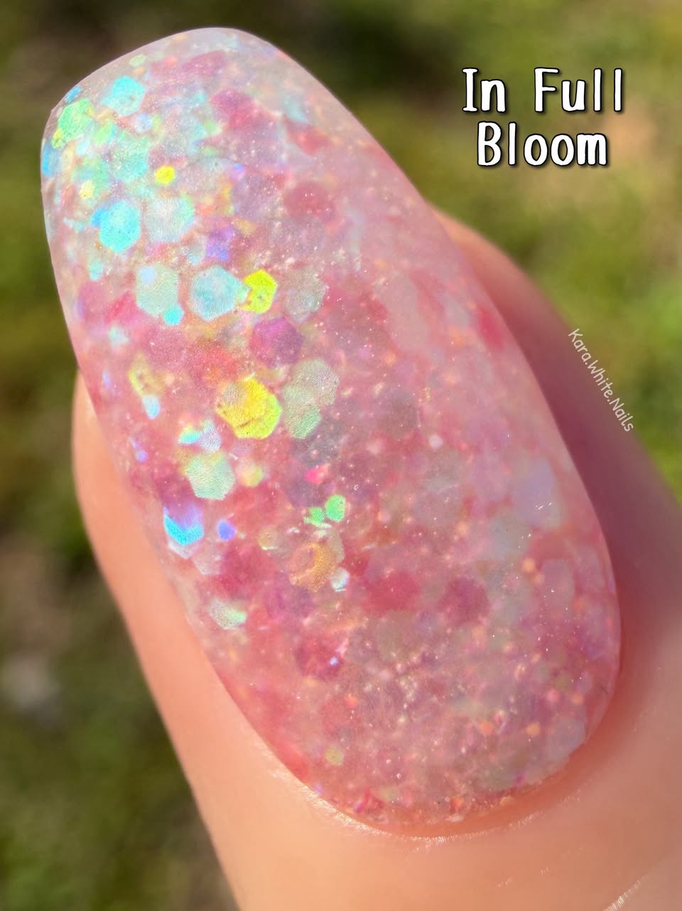 LIFE IN FULL BLOOM COLLECTION