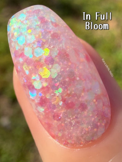 LIFE IN FULL BLOOM COLLECTION