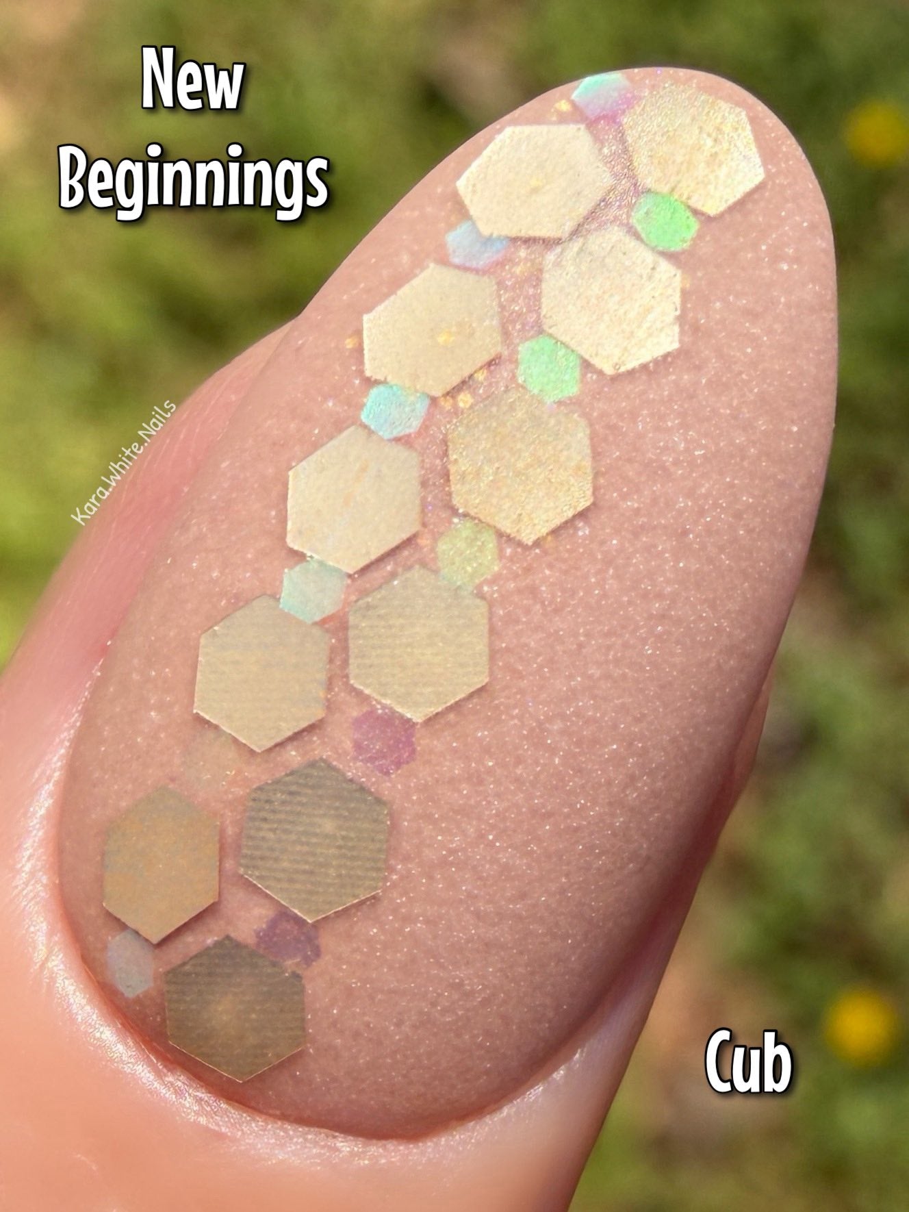 LIFE IN FULL BLOOM COLLECTION