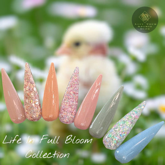 LIFE IN FULL BLOOM COLLECTION