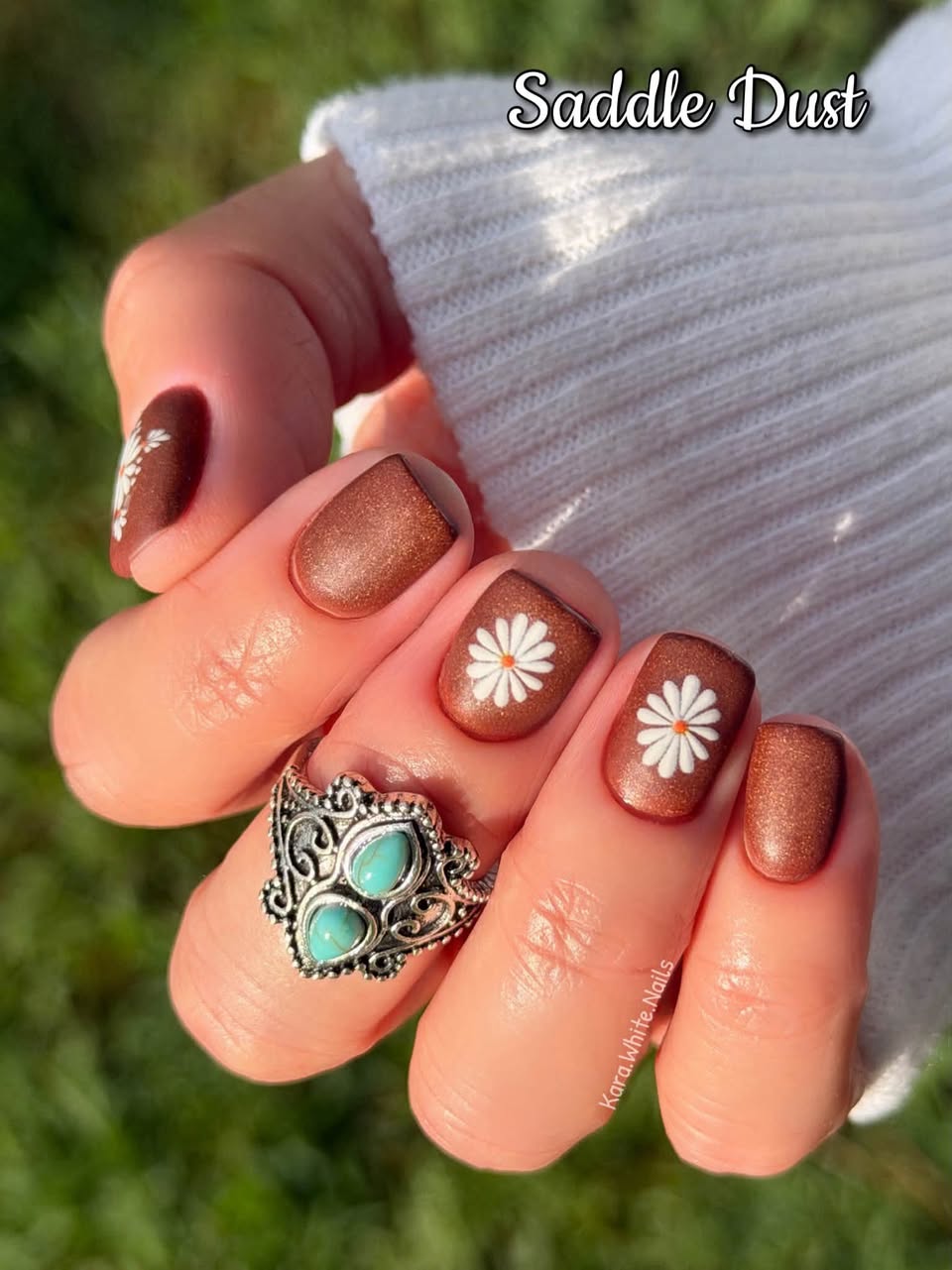 PAINTED DESERT COLLECTION