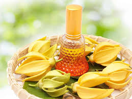 YLANG YLANG CUTICLE OIL