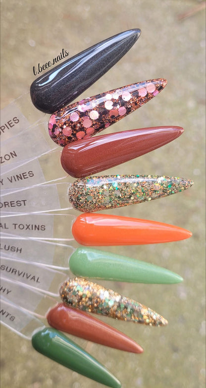 INTO THE JUNGLE COLLECTION