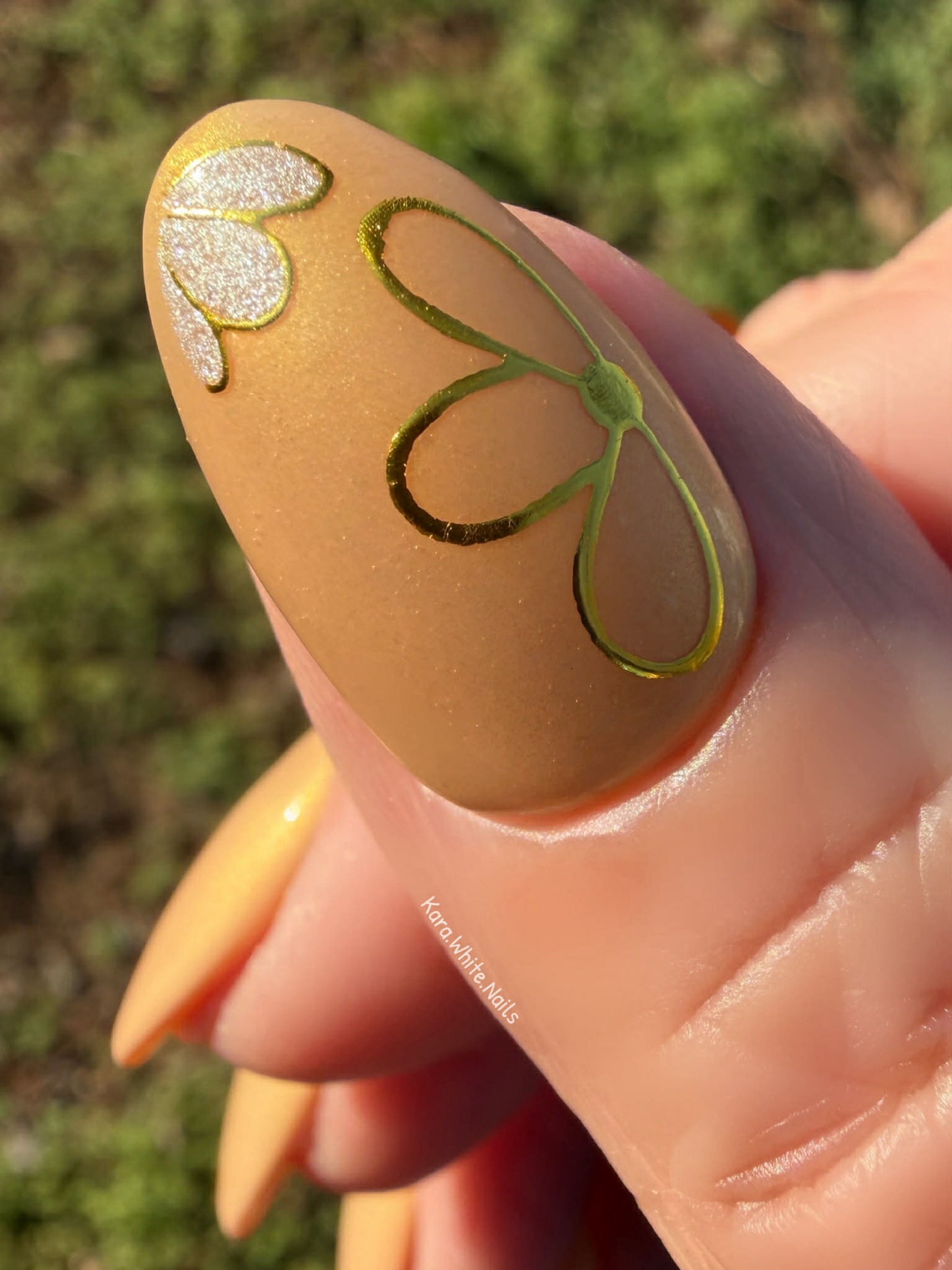 LIFE IN FULL BLOOM COLLECTION