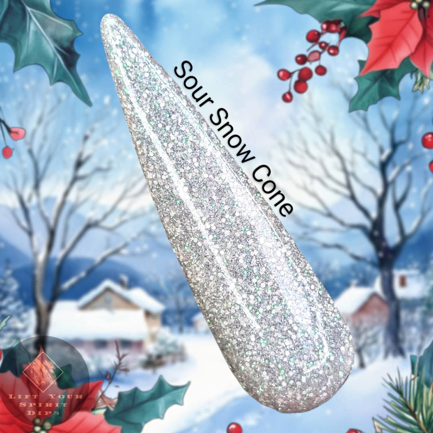 2024 I'M MY OWN SECRET SANTA DIPS