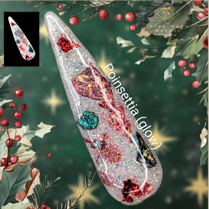 2024 I'M MY OWN SECRET SANTA DIPS