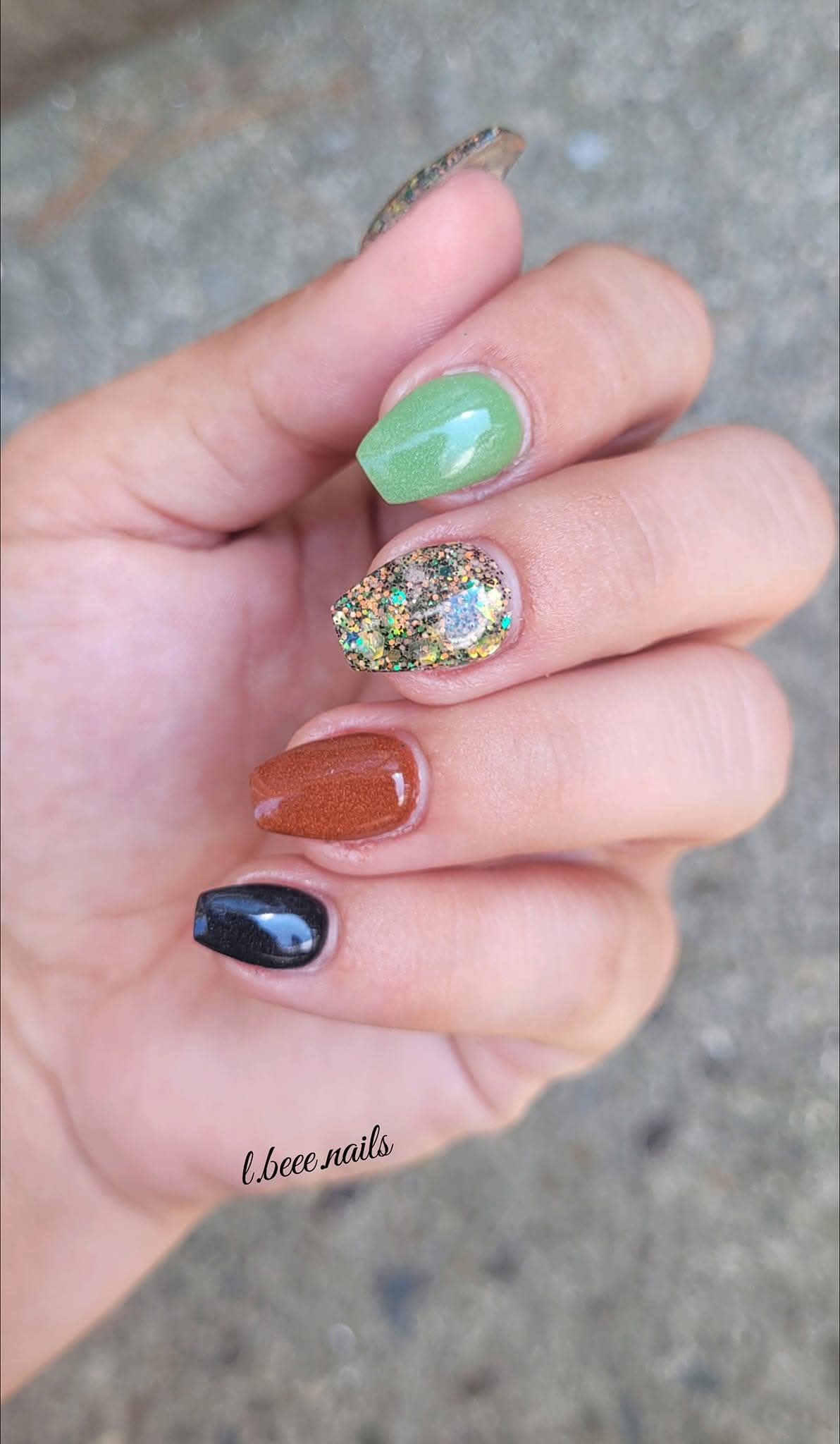 INTO THE JUNGLE COLLECTION