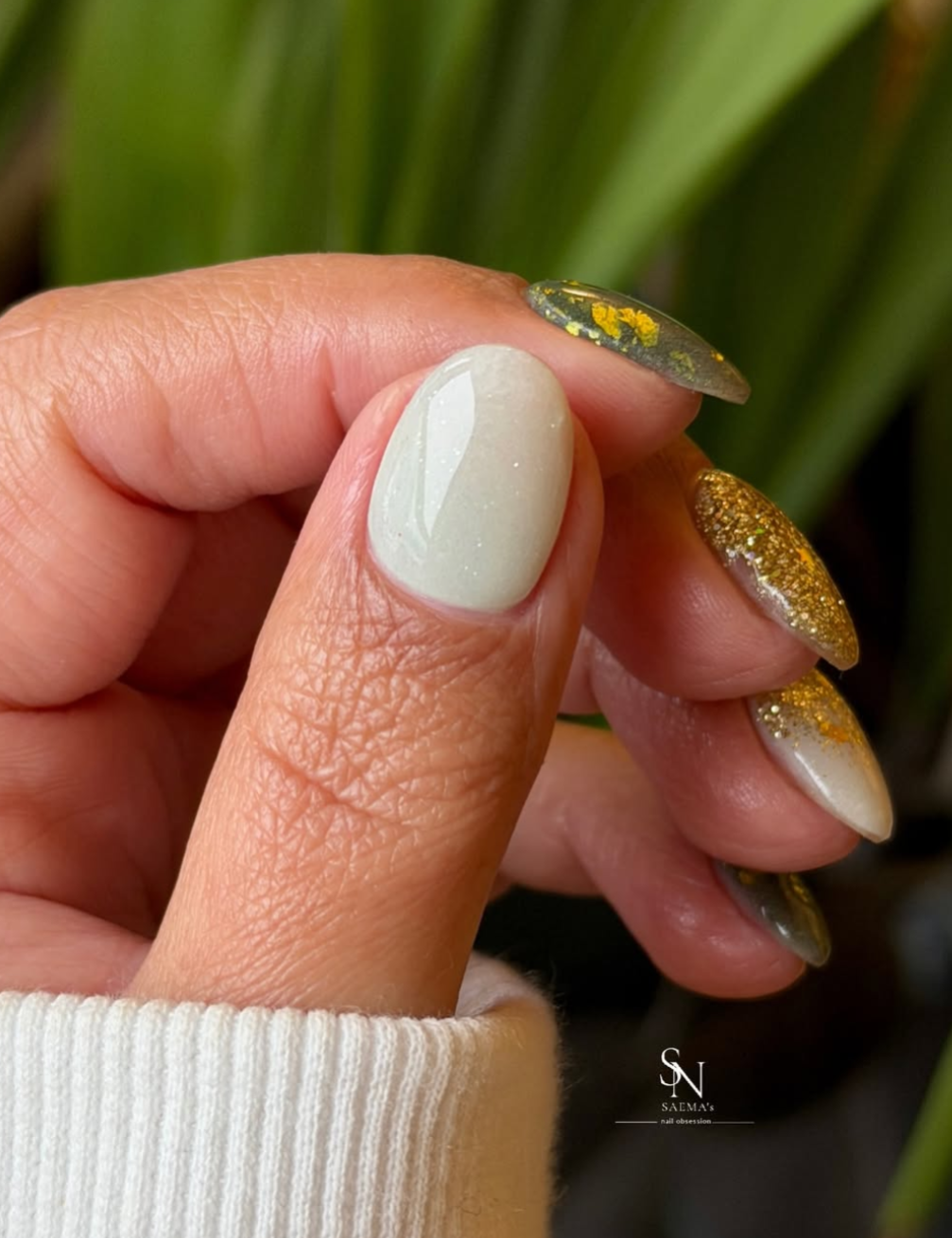 CHASING RAINBOWS COLLECTION