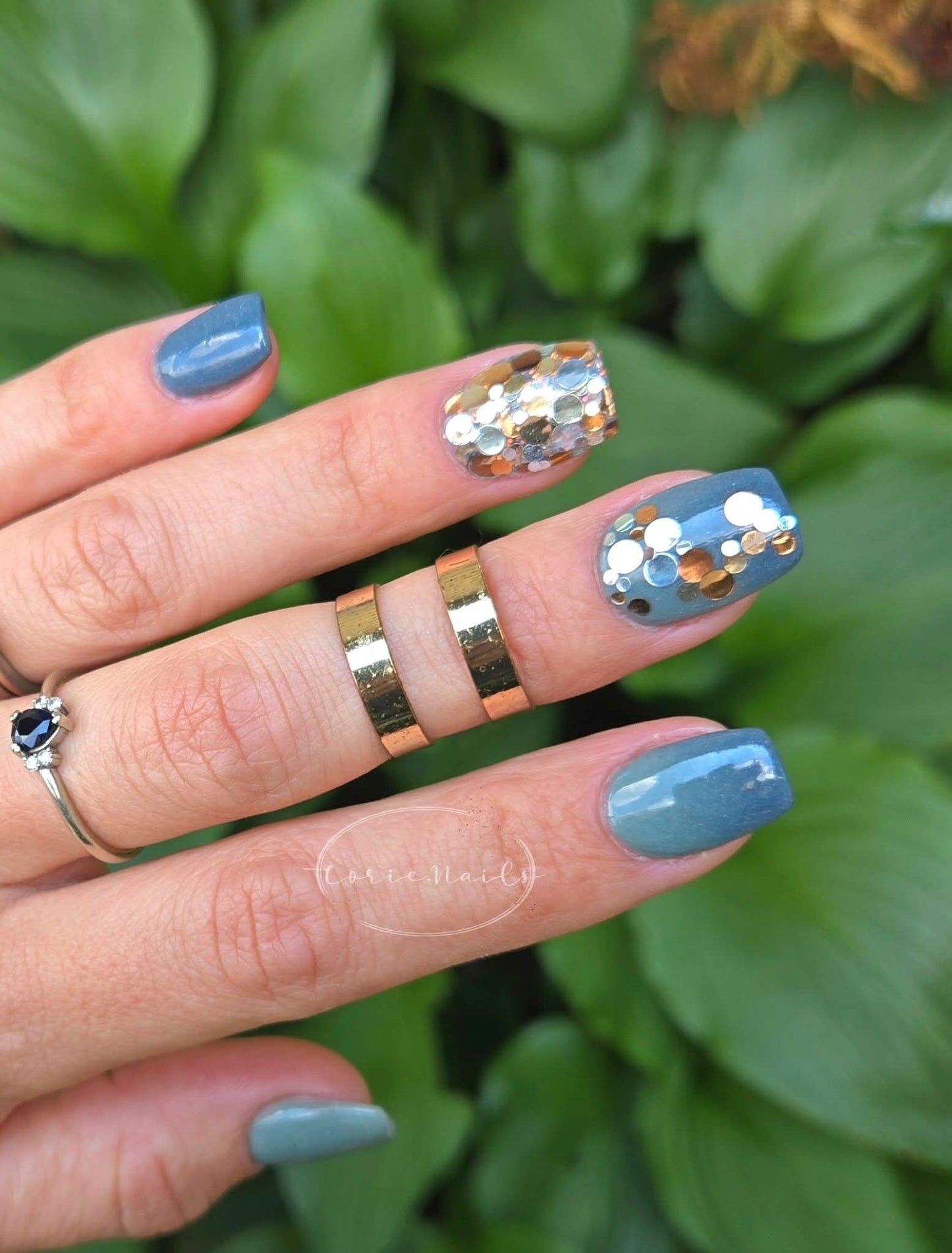 Winding Creek Collection