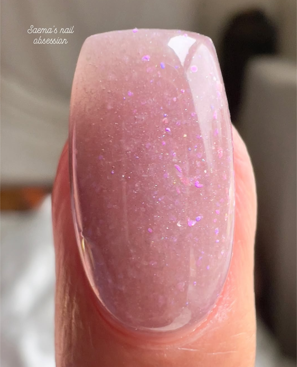 BERRIES OF AUTUMN COLLECTION