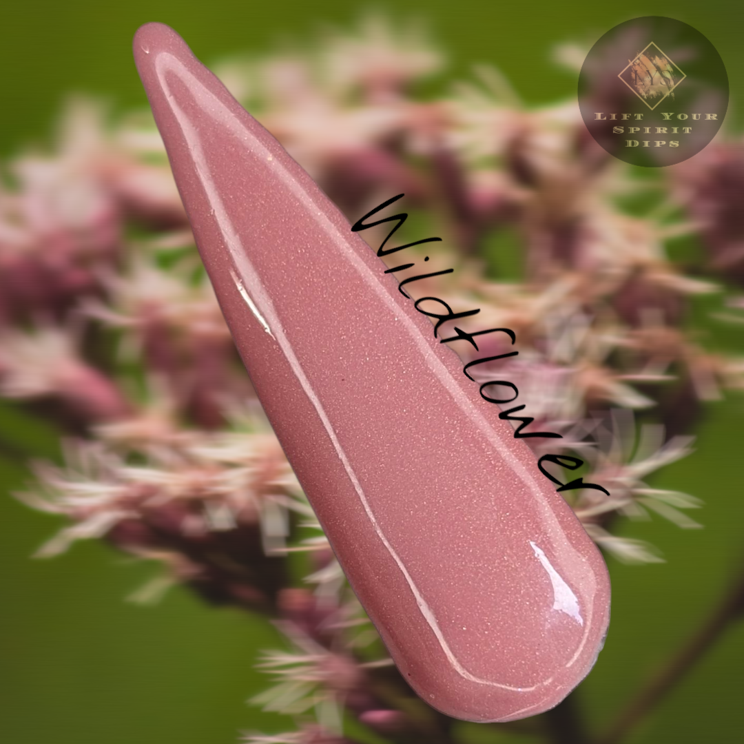 WEEKEND IN THE WOODS COLLECTION