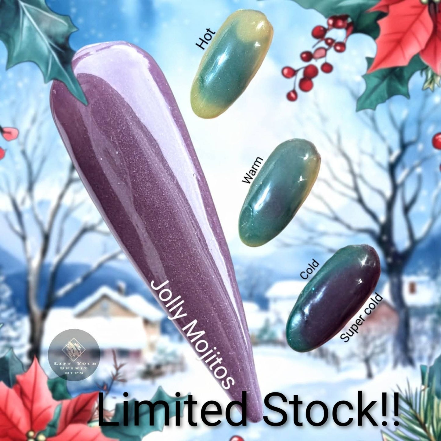 2024 I'M MY OWN SECRET SANTA DIPS