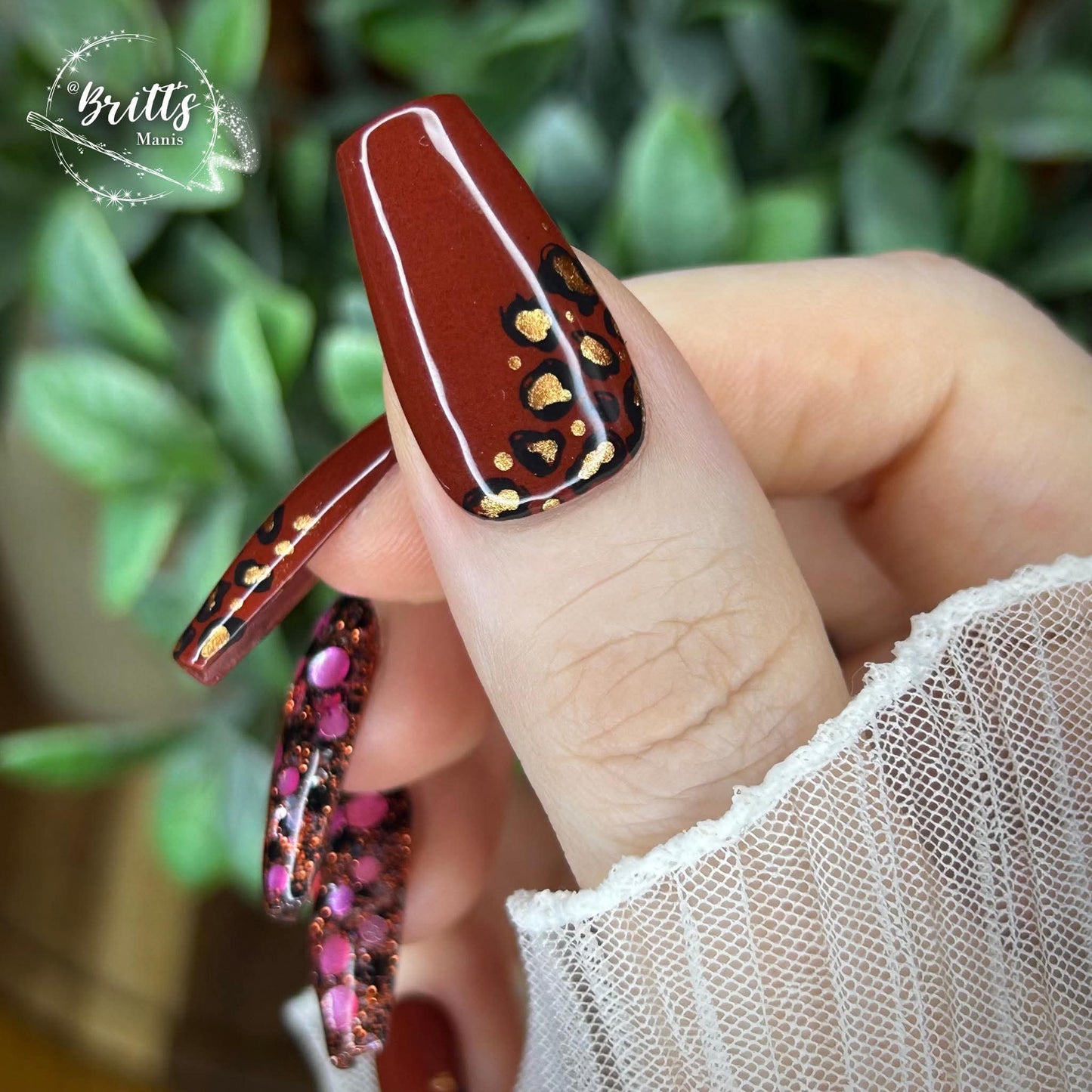INTO THE JUNGLE COLLECTION
