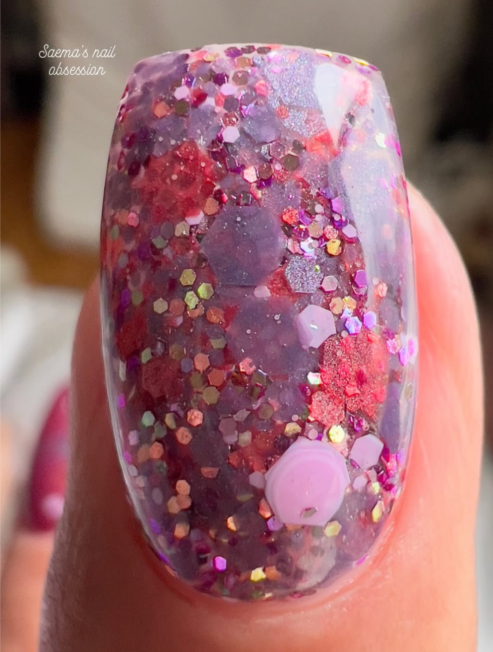 BERRIES OF AUTUMN COLLECTION