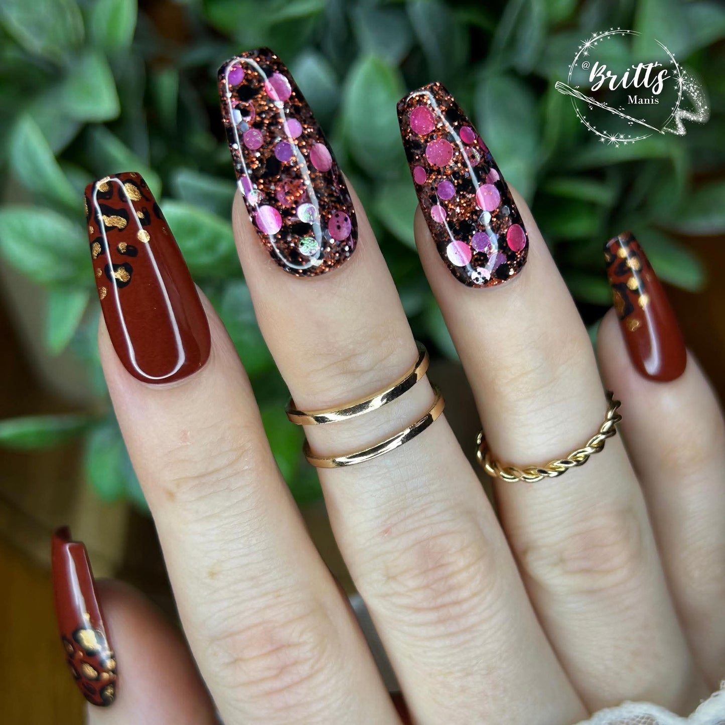 INTO THE JUNGLE COLLECTION
