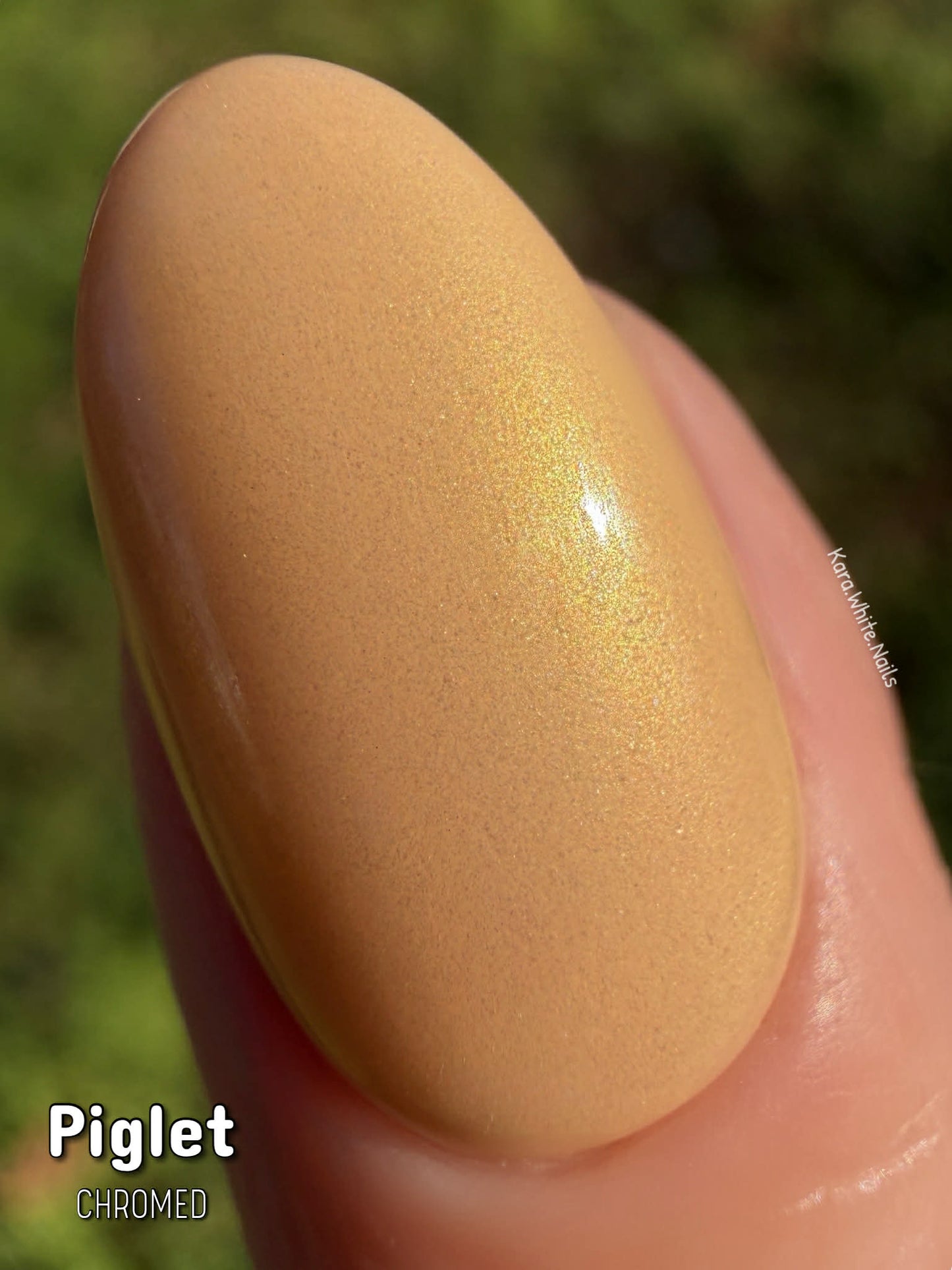 LIFE IN FULL BLOOM COLLECTION