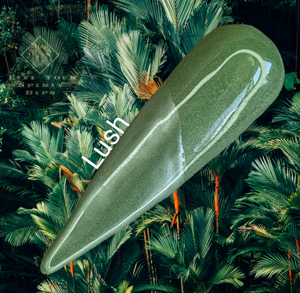 INTO THE JUNGLE COLLECTION